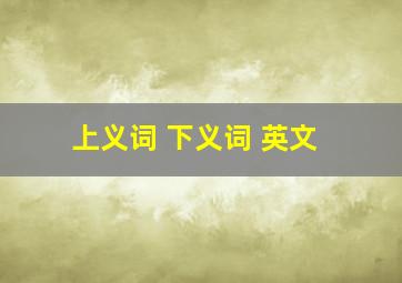 上义词 下义词 英文